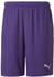 Puma Herren Short teamGOAL 23 Knit Shorts