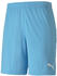 Puma Herren Short teamGOAL 23 Knit Shorts