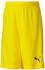Puma Kinder Short teamGOAL 23 knit Shorts jr cyber yellow