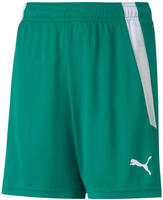 PUMA 704931153, PUMA Kinder Shorts teamLIGA Shorts Jr