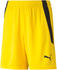 Puma Kinder Shorts teamLIGA Shorts Jr cyber yellow/puma black