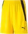 Puma Kinder Shorts teamLIGA Shorts Jr
