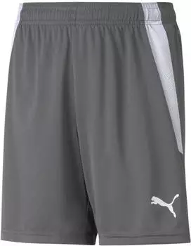 Puma Kinder Shorts teamLIGA Shorts Jr smoked pearl/puma white