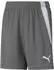 Puma Kinder Shorts teamLIGA Shorts Jr