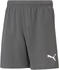 Puma Kinder Shorts teamRISE Short Jr