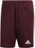 team maroon/white