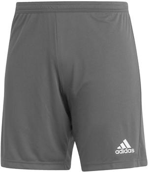 Adidas Herren Entrada 22 Shorts team grey four