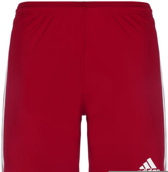 Adidas Herren Shorts Squadra 21 team power red/white