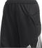 Adidas Jr Tierro Goalkeeper Shorts black (FS0172)