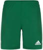 adidas Squadra 21 Shorts Herren - grün/weiß -XL