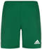 Adidas Herren Shorts Squadra 21 team green/white
