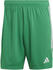 team green/white