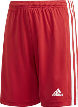 Adidas Jr Squadra 21 Shorts tmpwrd/white (GN5761)