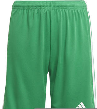 Adidas Jr Squadra 21 Shorts teagrn/white (GN5762)