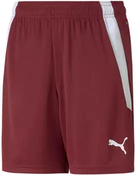 Puma Kinder Shorts teamLIGA Shorts Jr cordovan/puma white