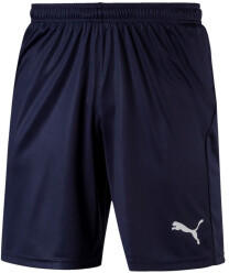 Puma Liga Core Shorts 2020 blue
