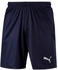 Puma Liga Core Shorts 2020