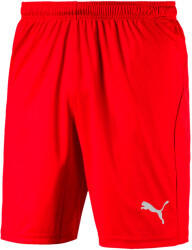 Puma Liga Core Shorts 2020 red