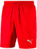 Puma Liga Core Shorts 2020