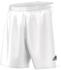 Adidas Parma 16 Shorts (2020)