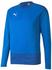 Puma Teamgoal 23 Training Sweat (656478)