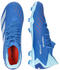 Adidas Predator Accuracy.3 FG (GZ0026) bright royal/cloud white/bliss blue