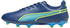 persian blue/pro green/ultra blue