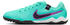 Nike Legend 10 pro TF