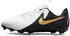 (FD6722-100) white/metallic gold coin/black