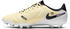 Nike Tiempo Legend 10 Academy MG (DV4337) lemonade/metallic gold coin/black