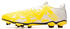 Puma Future Play FG/AG (107377)