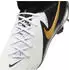 Nike Phantom Luna 2 Pro (FJ2575) white/metallic gold coin/black