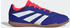 (IF6403) cloud white/lucid blue/solar red: Adidas Predator Club Sala IN