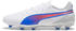 white/bluemazing/flat light gray