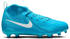 blue fury/white