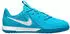 blue fury/white