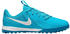 blue fury/white