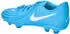 blue fury/white