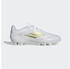Adidas F50 Club FxG