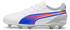 white/bluemazing/flat light gray