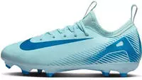 Nike FQ8392, NIKE Kinder Fussball-Hallenschuhe JR ZOOM VAPOR 16 ACADEMY FG/MG...