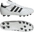 (ID4050) cloud white/core black/gold metallic