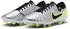 Nike Tiempo Legend 10 Elite FG (DV4328) metallic silver/volt/black