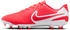 hot lava/white
