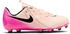 (FD6722-800) crimson tint/pink blast/black