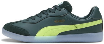 Puma King 21 IT (106696) green