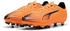 Puma Ultra 6 Play Fg/Ag mehrfarbig