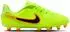 Nike Jr Legend 10 Academy FG/MG