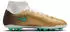 Nike Mercurial Superfly 11 Academy AG (IO1496-100) metallic gold/green glow
