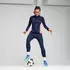 Puma Future 7 Pro FG/AG (107924)